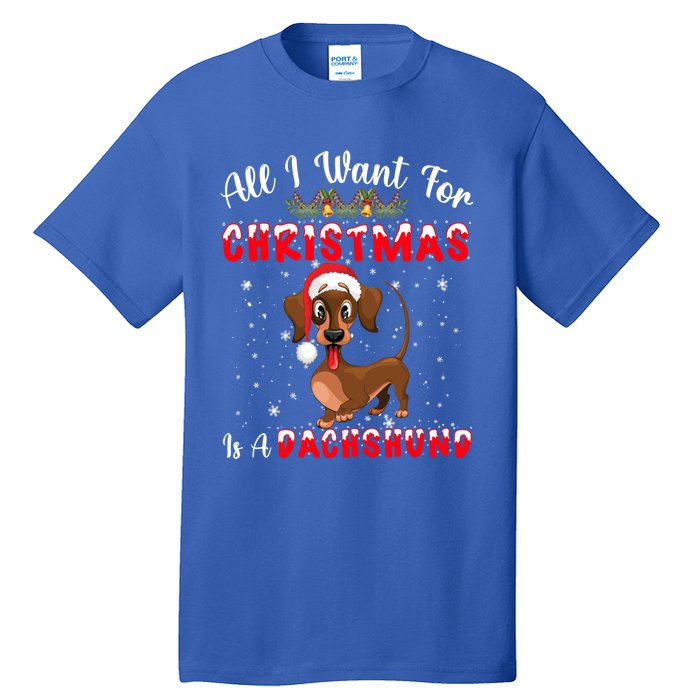 Dachshund Santa Hat All I Want For Christmas Is A Dachshund Meaningful Gift Tall T-Shirt