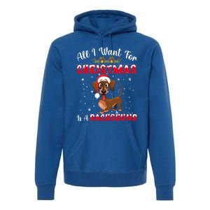 Dachshund Santa Hat All I Want For Christmas Is A Dachshund Meaningful Gift Premium Hoodie