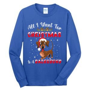 Dachshund Santa Hat All I Want For Christmas Is A Dachshund Meaningful Gift Tall Long Sleeve T-Shirt