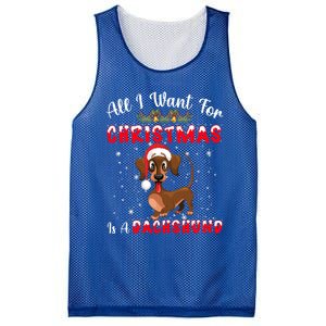 Dachshund Santa Hat All I Want For Christmas Is A Dachshund Meaningful Gift Mesh Reversible Basketball Jersey Tank