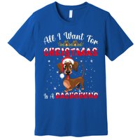 Dachshund Santa Hat All I Want For Christmas Is A Dachshund Meaningful Gift Premium T-Shirt