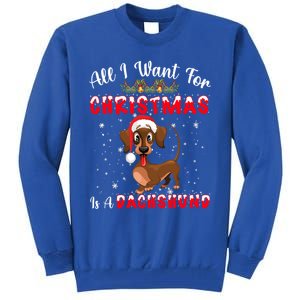 Dachshund Santa Hat All I Want For Christmas Is A Dachshund Meaningful Gift Tall Sweatshirt