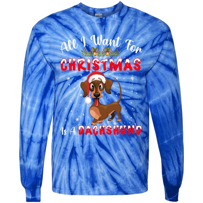 Dachshund Santa Hat All I Want For Christmas Is A Dachshund Meaningful Gift Tie-Dye Long Sleeve Shirt