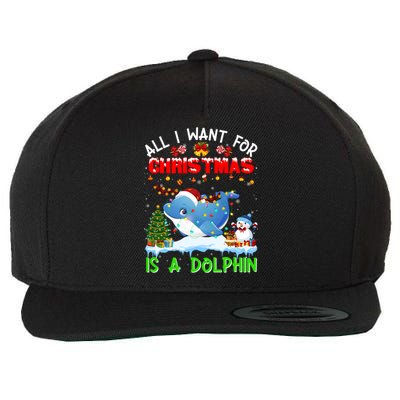 Dolphin Santa Hat Lights Xmas Snowflake Pajama Christmas Tee Gift Wool Snapback Cap