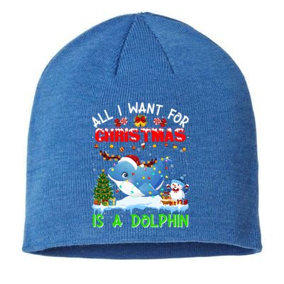 Dolphin Santa Hat Lights Xmas Snowflake Pajama Christmas Tee Gift Sustainable Beanie