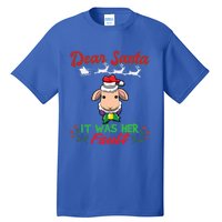 Dear Santa It Was Her Fault Siblings Matching Xmas Gift Tall T-Shirt