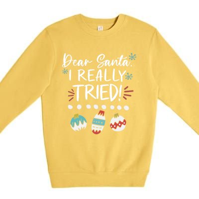 Dear Santa I Really Tried Family Group Christmas Matching Meaningful Gift Premium Crewneck Sweatshirt