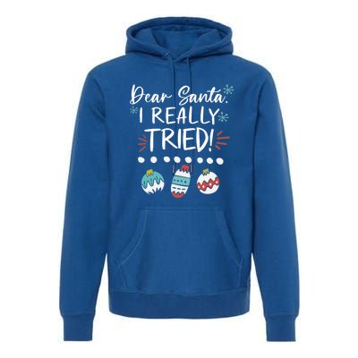 Dear Santa I Really Tried Family Group Christmas Matching Meaningful Gift Premium Hoodie