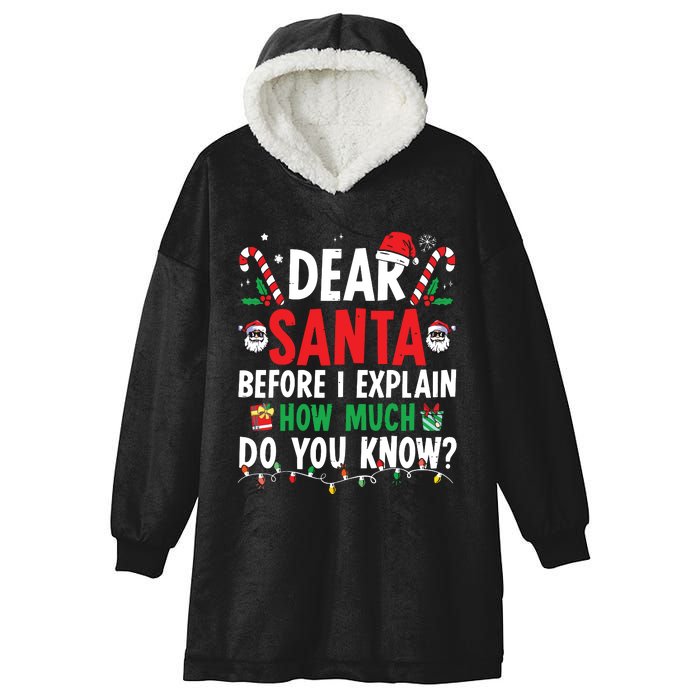 Dear Santa I Can Explain Funny Christmas Hooded Wearable Blanket