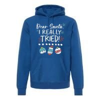 Dear Santa I Really Tried Family Group Christmas Matching Gift Premium Hoodie