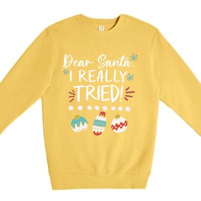 Dear Santa I Really Tried Family Group Christmas Matching Gift Premium Crewneck Sweatshirt