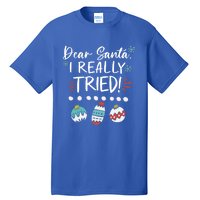 Dear Santa I Really Tried Family Group Christmas Matching Gift Tall T-Shirt