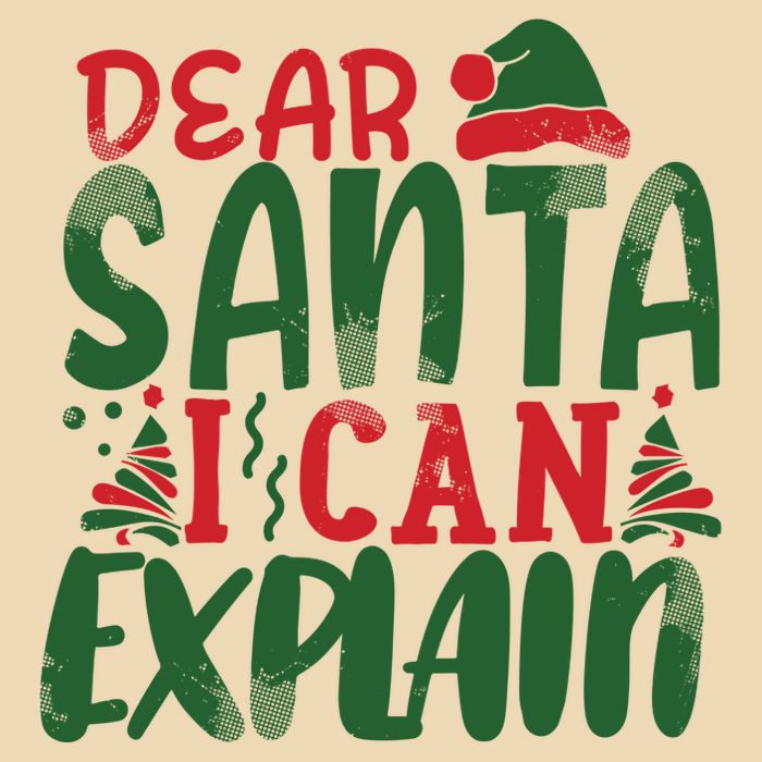 Dear Santa I Can Explain Funny Christmas Naughty Drawstring Bag