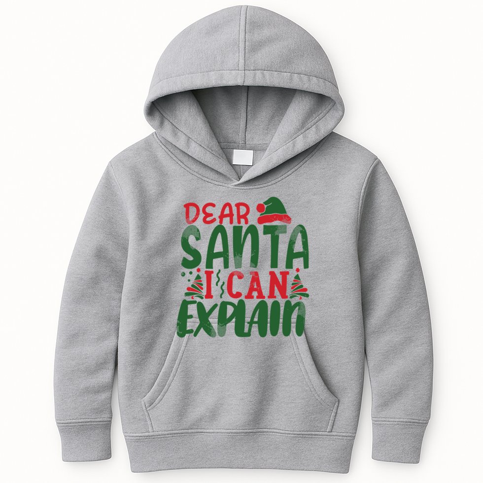 Dear Santa I Can Explain Funny Christmas Naughty Kids Hoodie