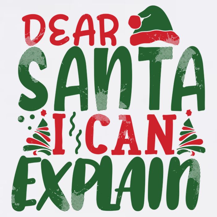 Dear Santa I Can Explain Funny Christmas Naughty Poster