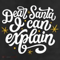 Dear Santa I Can Explain Christmas Holiday Funny Beanie
