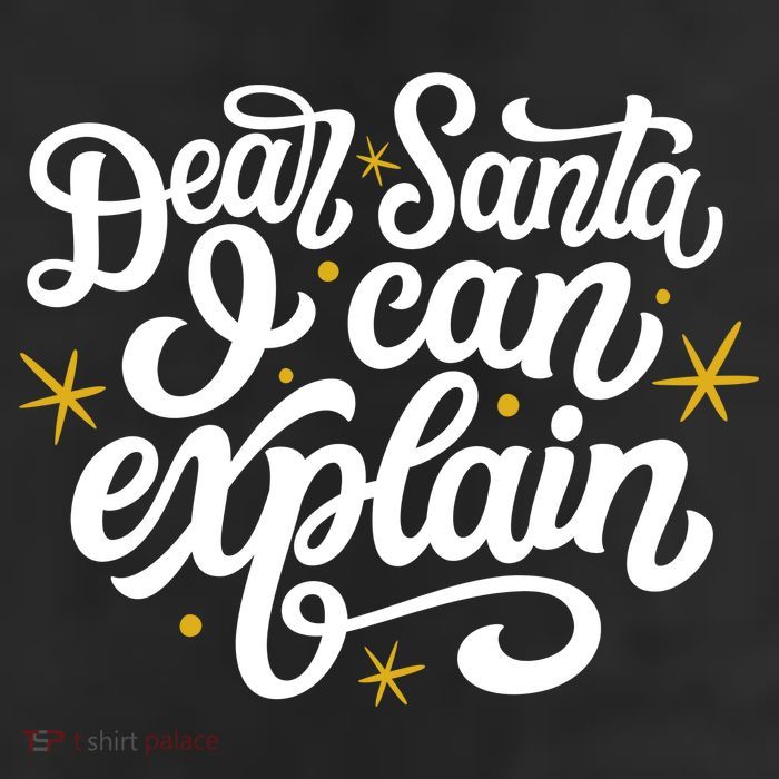 Dear Santa I Can Explain Christmas Holiday Funny Beanie