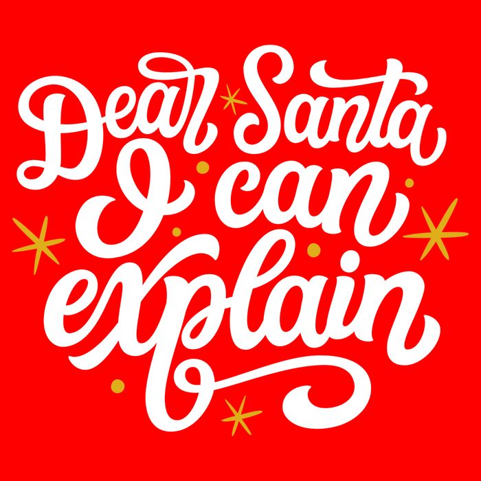 Dear Santa I Can Explain Christmas Holiday Funny T-Shirt