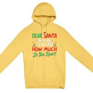 Dear Santa I Can Explain Funny Christmas  Premium Pullover Hoodie