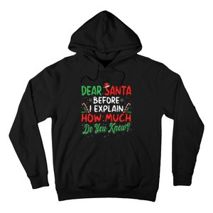 Dear Santa I Can Explain Funny Christmas  Hoodie