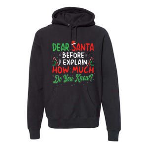 Dear Santa I Can Explain Funny Christmas  Premium Hoodie