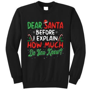 Dear Santa I Can Explain Funny Christmas  Tall Sweatshirt