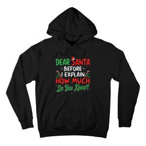 Dear Santa I Can Explain Funny Christmas  Tall Hoodie