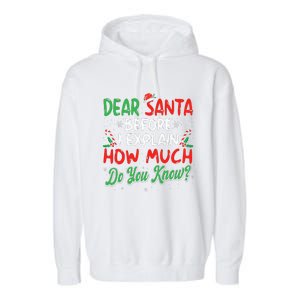 Dear Santa I Can Explain Funny Christmas  Garment-Dyed Fleece Hoodie