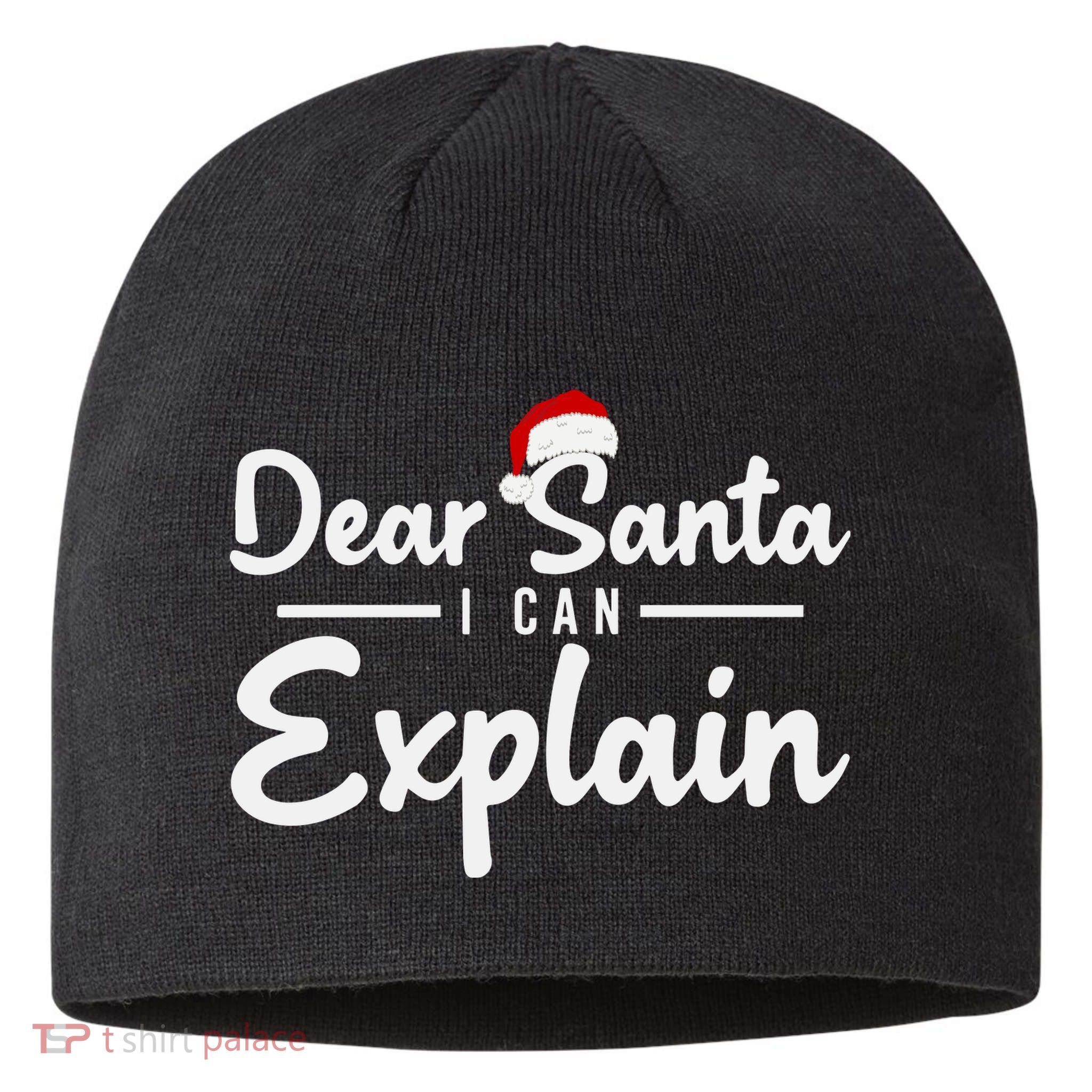 Dear Santa I Can Explain Sustainable Beanie