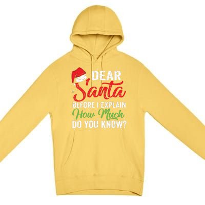 Dear Santa I Can Explain Funny Christmas Adults Premium Pullover Hoodie