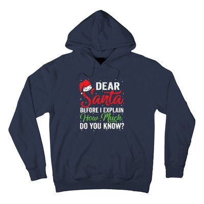 Dear Santa I Can Explain Funny Christmas Adults Hoodie