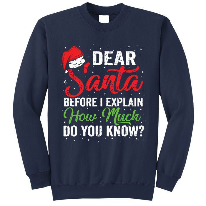 Dear Santa I Can Explain Funny Christmas Adults Sweatshirt