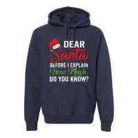 Dear Santa I Can Explain Funny Christmas Adults Premium Hoodie