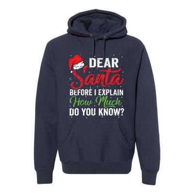 Dear Santa I Can Explain Funny Christmas Adults Premium Hoodie