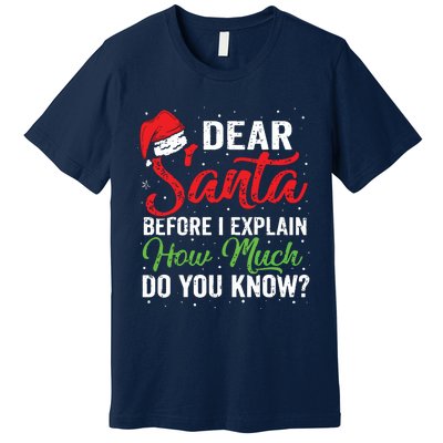 Dear Santa I Can Explain Funny Christmas Adults Premium T-Shirt