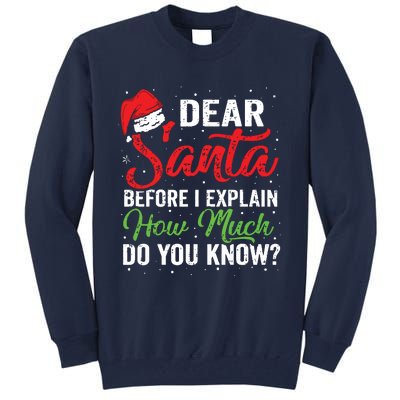 Dear Santa I Can Explain Funny Christmas Adults Tall Sweatshirt