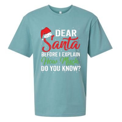 Dear Santa I Can Explain Funny Christmas Adults Sueded Cloud Jersey T-Shirt