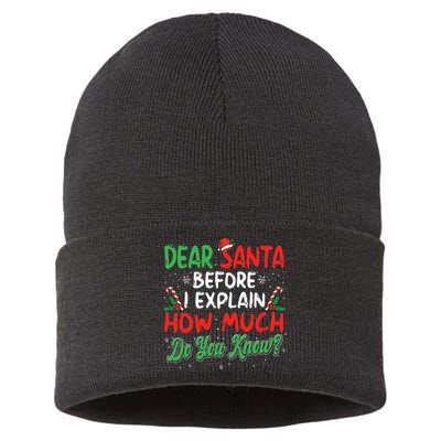 Dear Santa I Can Explain Funny Christmas  Sustainable Knit Beanie