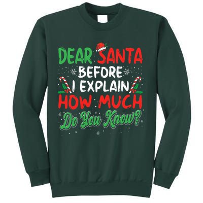 Dear Santa I Can Explain Funny Christmas  Sweatshirt