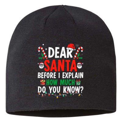 Dear Santa I Can Explain Funny Christmas Adults Sustainable Beanie