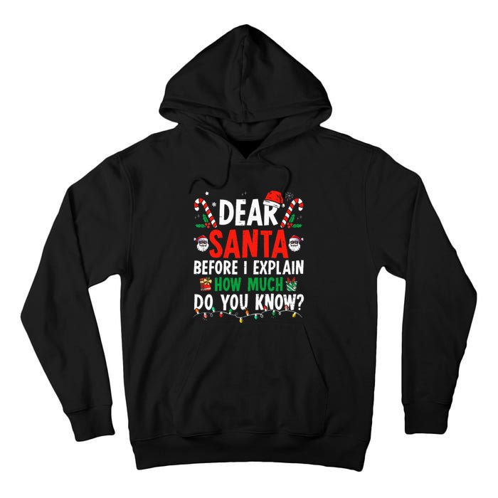 Dear Santa I Can Explain Funny Christmas Adults Tall Hoodie