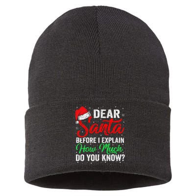 Dear Santa I Can Explain Funny Christmas Sustainable Knit Beanie