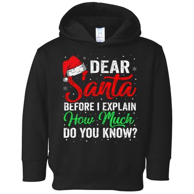 Dear Santa I Can Explain Funny Christmas Toddler Hoodie