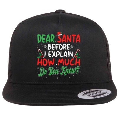 Dear Santa I Can Explain Funny Christmas Flat Bill Trucker Hat