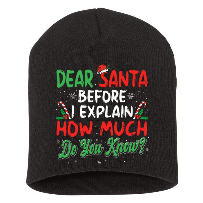 Dear Santa I Can Explain Funny Christmas Short Acrylic Beanie