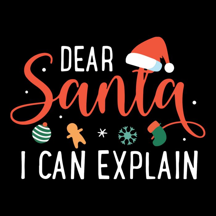 Dear Santa I Can Explain Family Christmas Apron