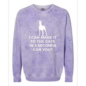 Dog Sign I Can Make It To The Gate In 3 Seconds Can You Colorblast Crewneck Sweatshirt