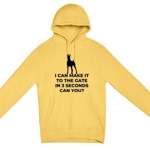 Dog Sign I Can Make It To The Gate In 3 Seconds Can You Premium Pullover Hoodie