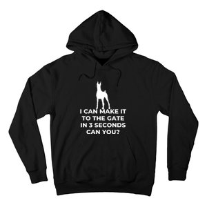 Dog Sign I Can Make It To The Gate In 3 Seconds Can You Hoodie