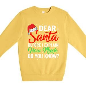 Dear Santa I Can Explain Funny Christmas Gift Adults Gift Premium Crewneck Sweatshirt